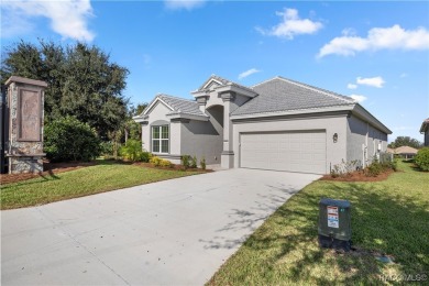 Imagine living in a Gorgeous Carefree Home sitting on the Golf on Skyview At Terra Vista Golf and Country Club in Florida - for sale on GolfHomes.com, golf home, golf lot