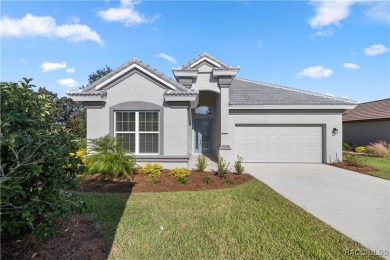 Imagine living in a Gorgeous Carefree Home sitting on the Golf on Skyview At Terra Vista Golf and Country Club in Florida - for sale on GolfHomes.com, golf home, golf lot