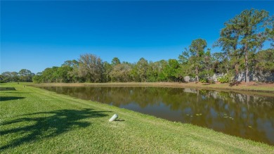 A delightful sanctuary awaits you in the Legends of Tatum Ridge on Tatum Ridge Golf Links in Florida - for sale on GolfHomes.com, golf home, golf lot