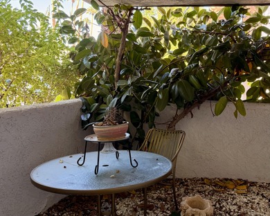 Welcome to this stylish Palm Springs condo offering comfort on Tahquitz Creek Golf Resort in California - for sale on GolfHomes.com, golf home, golf lot