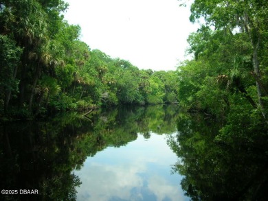 Least Expensive home with the most bang for your $ in Spruce on Spruce Creek Golf Club in Florida - for sale on GolfHomes.com, golf home, golf lot