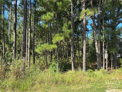 Discover a rare opportunity to own 121 feet of peaceful lagoon on Savannah Quarters Country Club in Georgia - for sale on GolfHomes.com, golf home, golf lot