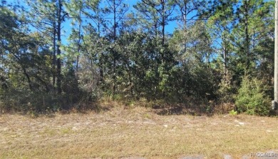 This .23 acre property situated in Citrus Springs, a picturesque on Pine Ridge Community Golf and Country Club in Florida - for sale on GolfHomes.com, golf home, golf lot