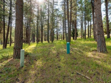 Ready to build your dream golf getaway, surrounded by mountains? on Angel Fire Resort Country Club in New Mexico - for sale on GolfHomes.com, golf home, golf lot