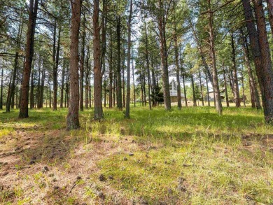 Ready to build your dream golf getaway, surrounded by mountains? on Angel Fire Resort Country Club in New Mexico - for sale on GolfHomes.com, golf home, golf lot