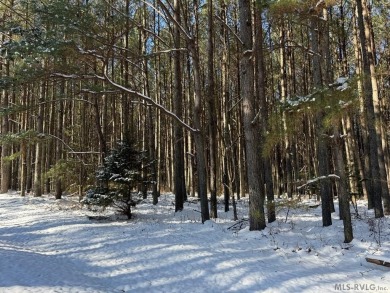 Absolutely beautiful acreage here with tall trees that are on  in Virginia - for sale on GolfHomes.com, golf home, golf lot