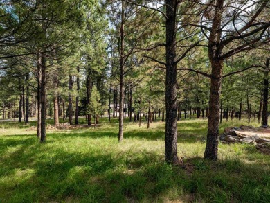 Ready to build your dream golf getaway, surrounded by mountains? on Angel Fire Resort Country Club in New Mexico - for sale on GolfHomes.com, golf home, golf lot