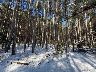 Absolutely beautiful acreage here with tall trees that are on  in Virginia - for sale on GolfHomes.com, golf home, golf lot