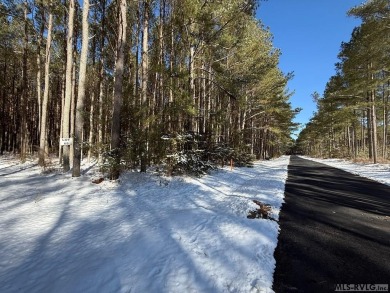 Absolutely beautiful acreage here with tall trees that are on  in Virginia - for sale on GolfHomes.com, golf home, golf lot