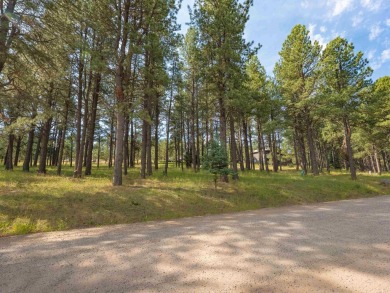Ready to build your dream golf getaway, surrounded by mountains? on Angel Fire Resort Country Club in New Mexico - for sale on GolfHomes.com, golf home, golf lot