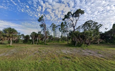 Extra wide and deep!  Preserve backyard!  8-mile paved bike on Rotonda Golf and Country Club - Long Marsh  in Florida - for sale on GolfHomes.com, golf home, golf lot