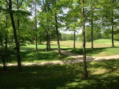 Beautiful Golf Front Lot in Canadian Lakes
Located at the end of on St. Ives Golf Club in Michigan - for sale on GolfHomes.com, golf home, golf lot