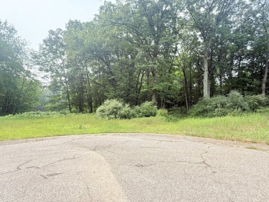 Beautiful Golf Front Lot in Canadian Lakes
Located at the end of on St. Ives Golf Club in Michigan - for sale on GolfHomes.com, golf home, golf lot