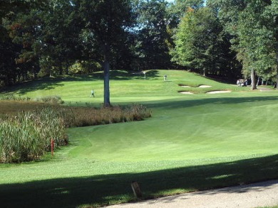 Beautiful Golf Front Lot in Canadian Lakes
Located at the end of on St. Ives Golf Club in Michigan - for sale on GolfHomes.com, golf home, golf lot