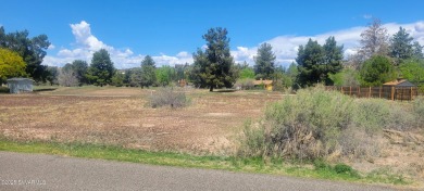 Jump on this great opportunity to have a home in this on BC Ranch Golf Club in Arizona - for sale on GolfHomes.com, golf home, golf lot