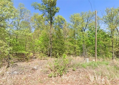 There's a sweet wooded lot in Bella Vista for sale,
On on Bella Vista Country Club - Scottsdale in Arkansas - for sale on GolfHomes.com, golf home, golf lot