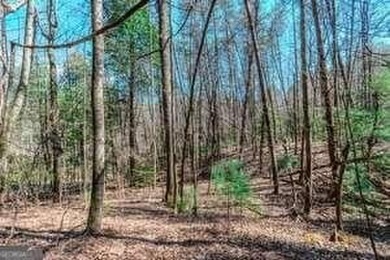 Are you ready to build your dream home in the North GA on White Path Golf Club in Georgia - for sale on GolfHomes.com, golf home, golf lot