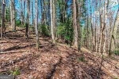 Are you ready to build your dream home in the North GA on White Path Golf Club in Georgia - for sale on GolfHomes.com, golf home, golf lot