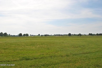 Fantastic level lot with a westerly view from the rear and east on Occano Golf Course in North Carolina - for sale on GolfHomes.com, golf home, golf lot