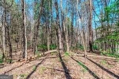 Are you ready to build your dream home in the North GA on White Path Golf Club in Georgia - for sale on GolfHomes.com, golf home, golf lot