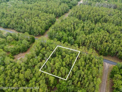 Are you ready to build the home of your dreams? Look no further on Citrus Springs Country Club in Florida - for sale on GolfHomes.com, golf home, golf lot