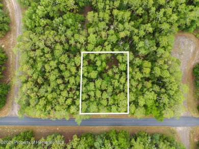 Are you ready to build the home of your dreams? Look no further on Citrus Springs Country Club in Florida - for sale on GolfHomes.com, golf home, golf lot