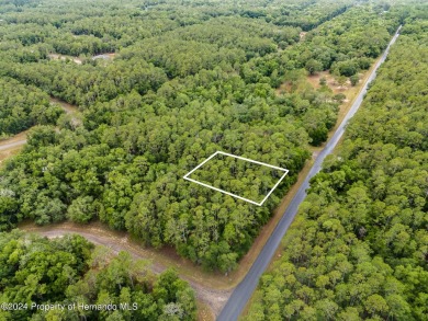 Are you ready to build the home of your dreams? Look no further on Citrus Springs Country Club in Florida - for sale on GolfHomes.com, golf home, golf lot