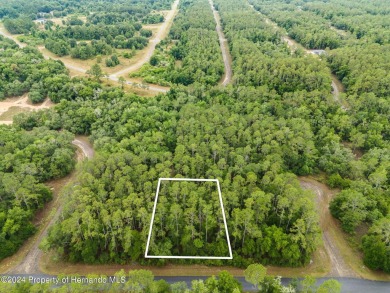 Are you ready to build the home of your dreams? Look no further on Citrus Springs Country Club in Florida - for sale on GolfHomes.com, golf home, golf lot