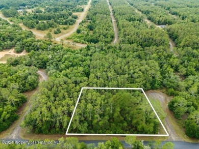 Are you ready to build the home of your dreams? Look no further on Citrus Springs Country Club in Florida - for sale on GolfHomes.com, golf home, golf lot
