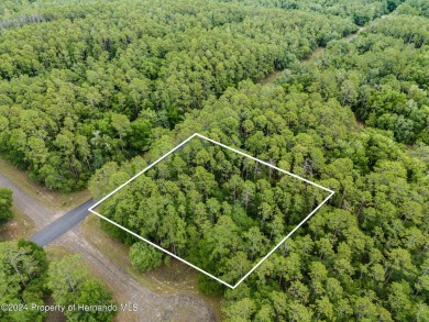 Are you ready to build the home of your dreams? Look no further on Citrus Springs Country Club in Florida - for sale on GolfHomes.com, golf home, golf lot