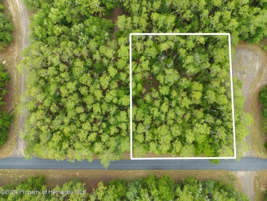 Are you ready to build the home of your dreams? Look no further on Citrus Springs Country Club in Florida - for sale on GolfHomes.com, golf home, golf lot