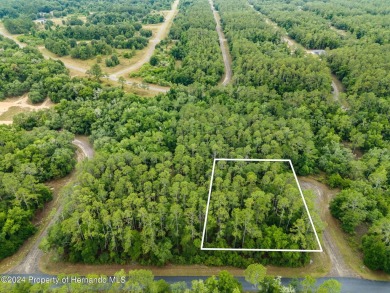 Are you ready to build the home of your dreams? Look no further on Citrus Springs Country Club in Florida - for sale on GolfHomes.com, golf home, golf lot