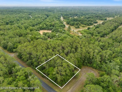 Are you ready to build the home of your dreams? Look no further on Citrus Springs Country Club in Florida - for sale on GolfHomes.com, golf home, golf lot