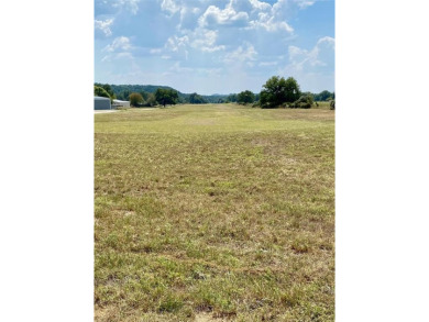 Do Not Miss Out! This level 80x120 foot lot features sandy soil on Horseshoe Bend Country Club in Texas - for sale on GolfHomes.com, golf home, golf lot