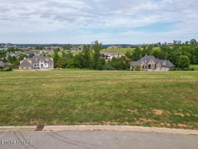 Beautiful Lakeview Lot in WindRiver Lakefront and Golf Community on Wind River Golf Course in Tennessee - for sale on GolfHomes.com, golf home, golf lot