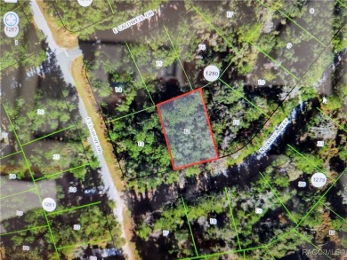 Wooded Homesite In the relaxed community of Citrus Springs on Citrus Springs Country Club in Florida - for sale on GolfHomes.com, golf home, golf lot