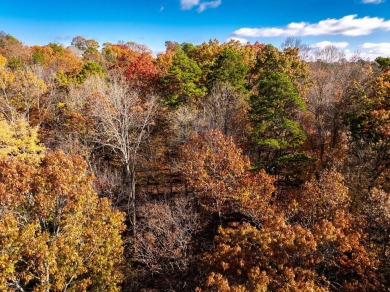 1.5-Acre Lot in the Prestigious Eagle Bluff Subdivision. Looking on Eagle Bluff Golf Club in Tennessee - for sale on GolfHomes.com, golf home, golf lot