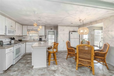 Welcome to Your Slice of Paradise in Venice Isle!

Discover the on Pelican Pointe Golf and Country Club in Florida - for sale on GolfHomes.com, golf home, golf lot