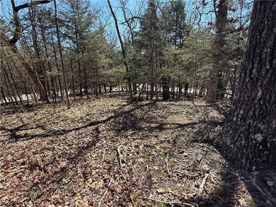 High atop *The Island* on Rocky Top Circle in Holiday Island on Holiday Island Executive Golf Course in Arkansas - for sale on GolfHomes.com, golf home, golf lot