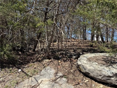 High atop *The Island* on Rocky Top Circle in Holiday Island on Holiday Island Executive Golf Course in Arkansas - for sale on GolfHomes.com, golf home, golf lot