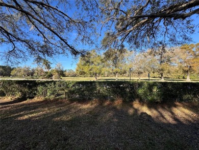 Great find here at The Plantation at Leesburg! Check out this on Plantation Golf Club in Florida - for sale on GolfHomes.com, golf home, golf lot