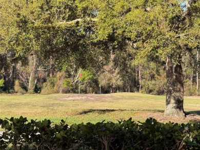 Great find here at The Plantation at Leesburg! Check out this on Plantation Golf Club in Florida - for sale on GolfHomes.com, golf home, golf lot