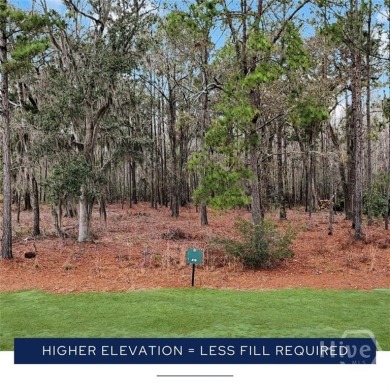 Located in the first phase of The Reserve in prestigious on Savannah Quarters Country Club in Georgia - for sale on GolfHomes.com, golf home, golf lot