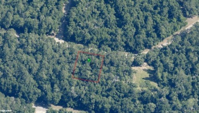 INVESTOR AND BUILDER ALERT!! 1/3 acre parcel in Citrus Springs!! on Citrus Springs Country Club in Florida - for sale on GolfHomes.com, golf home, golf lot