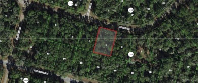 INVESTOR AND BUILDER ALERT!! 1/3 acre parcel in Citrus Springs!! on Citrus Springs Country Club in Florida - for sale on GolfHomes.com, golf home, golf lot