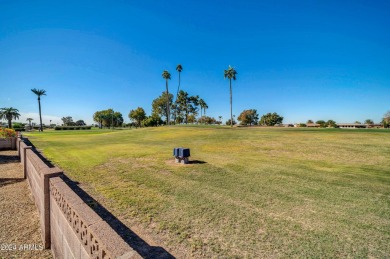 Golf course lot! Single-level, detached property in the heart of on PalmBrook Country Club in Arizona - for sale on GolfHomes.com, golf home, golf lot