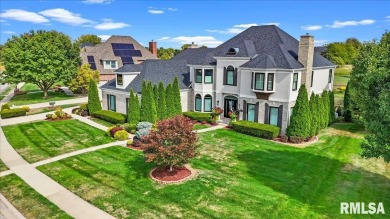 Panther Creek at its FINEST! This meticulously cared for & much on Panther Creek Country Club in Illinois - for sale on GolfHomes.com, golf home, golf lot