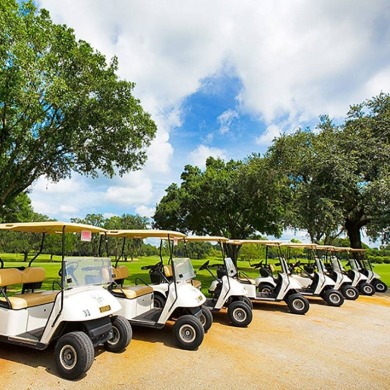 Welcome to serene living in Schalamar Creek Golf & Country Club on Schalamar Creek Golf and Country Club in Florida - for sale on GolfHomes.com, golf home, golf lot