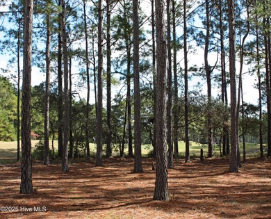 Incredible Golf Course Homesite on the Green, on the 7th hole on on Ocean Ridge Plantation in North Carolina - for sale on GolfHomes.com, golf home, golf lot