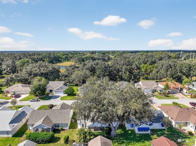 Welcome to the serene Village of Chatham in The Villages & step on Amberwood Executive Golf Course in Florida - for sale on GolfHomes.com, golf home, golf lot